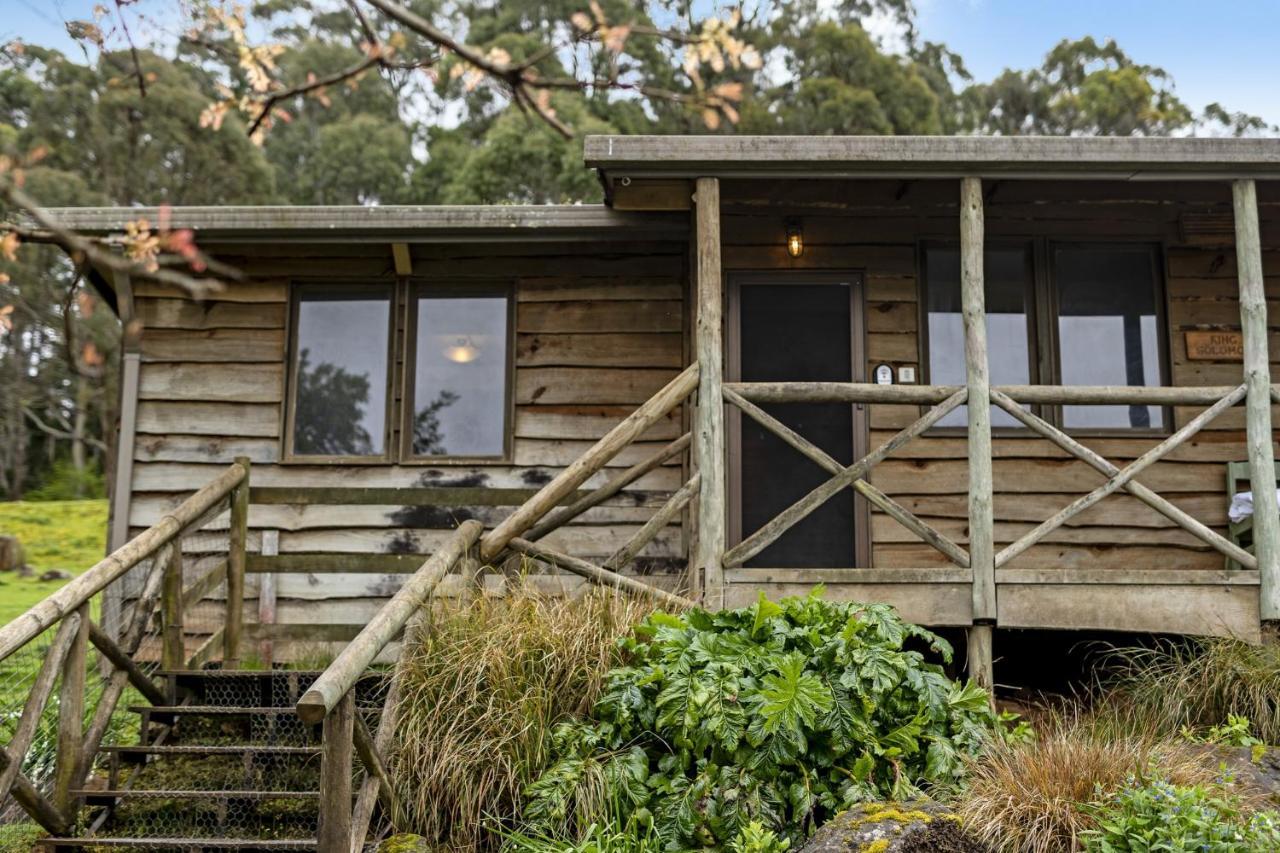 Mole Creek Cabins Экстерьер фото