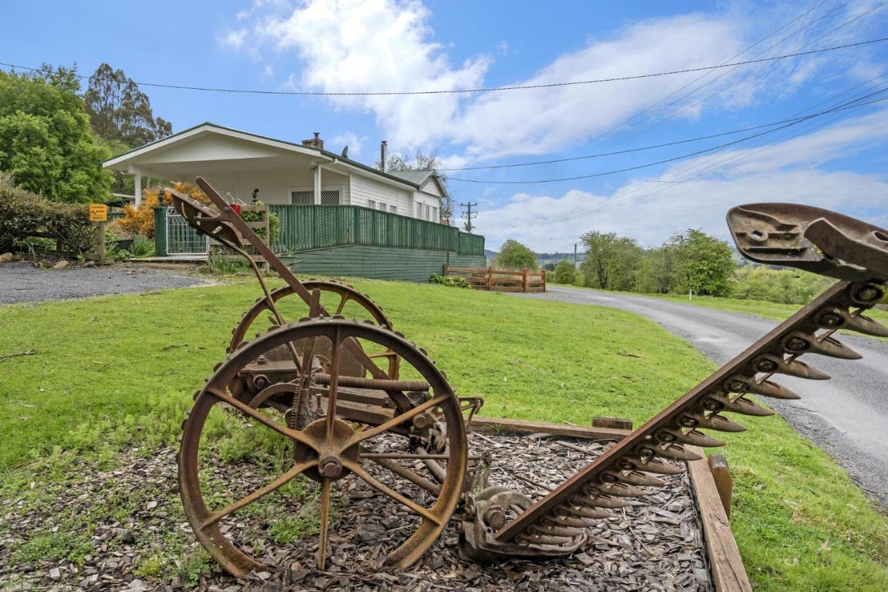 Mole Creek Cabins Экстерьер фото