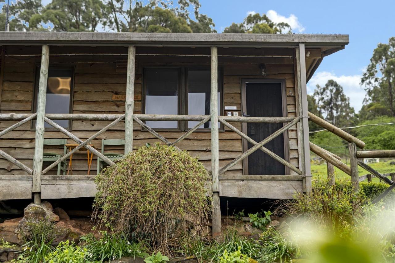 Mole Creek Cabins Экстерьер фото