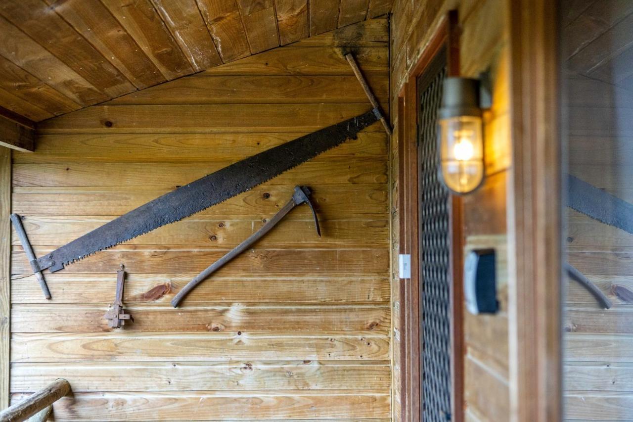 Mole Creek Cabins Экстерьер фото