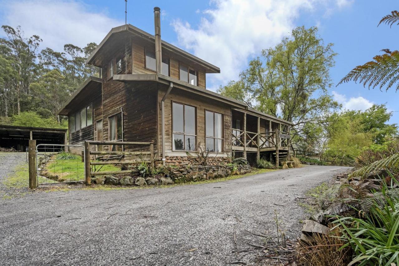 Mole Creek Cabins Экстерьер фото
