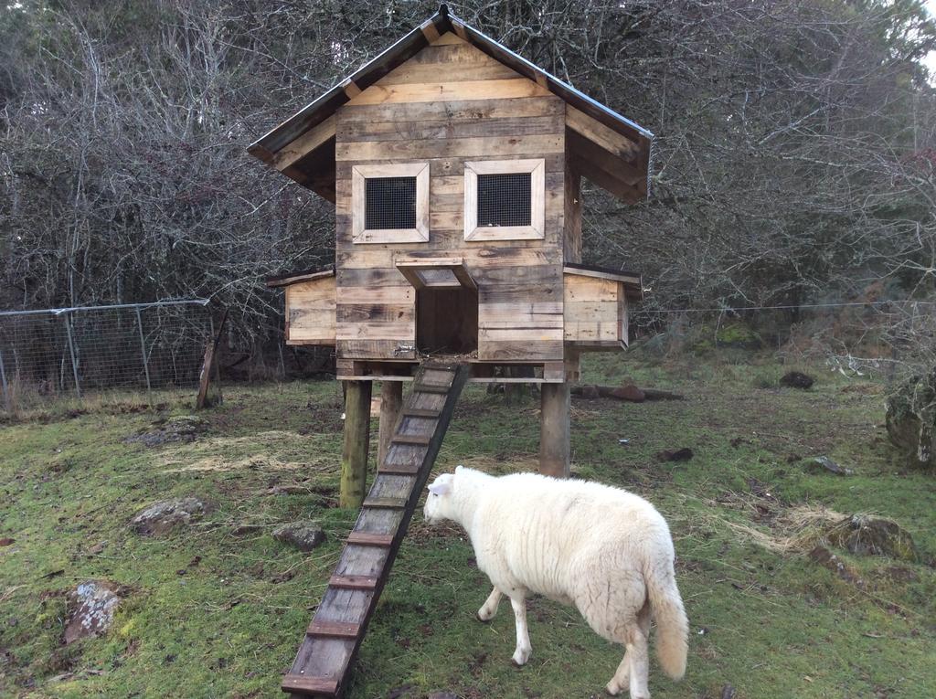 Mole Creek Cabins Экстерьер фото